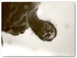 J4_selection_19