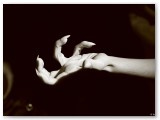 J6_selection_25
