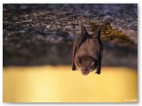 J7_selection_01